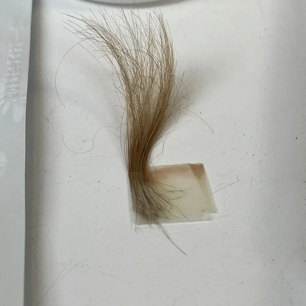 Clairol Gray Solution Nice'n Easy, 100% Coverage, # ‎ 8G Med. Golden Blonde (1)